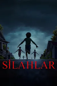 Silahlar Poster